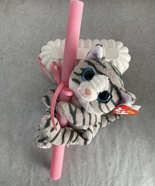 Photo 6 3 26, 11 19 39 800