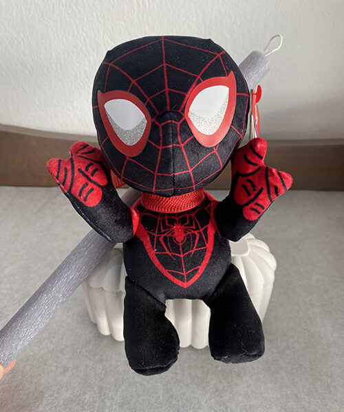 Photo 6 3 26, 11 20 30 800