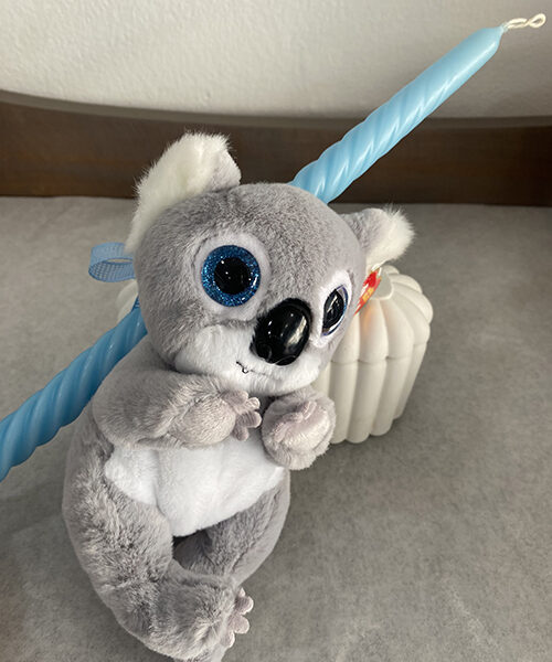 Photo 6 3 26, 11 21 21 800