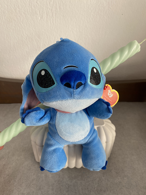 Photo 6 3 26, 11 33 46 800